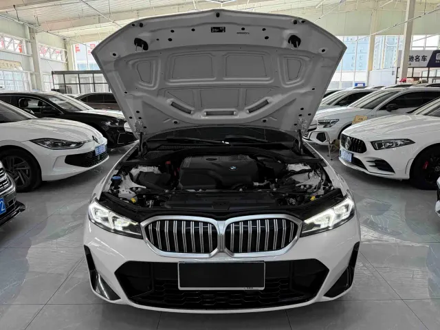 BMW 3 Series — Фото автомобиля 20