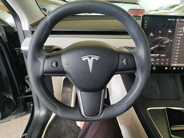 Tesla Model Y — Фото автомобиля 10