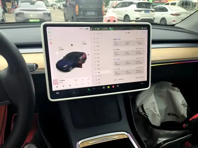 Tesla Model Y 2021 Standard Range Rear-Wheel Drive — Фото автомобиля 12