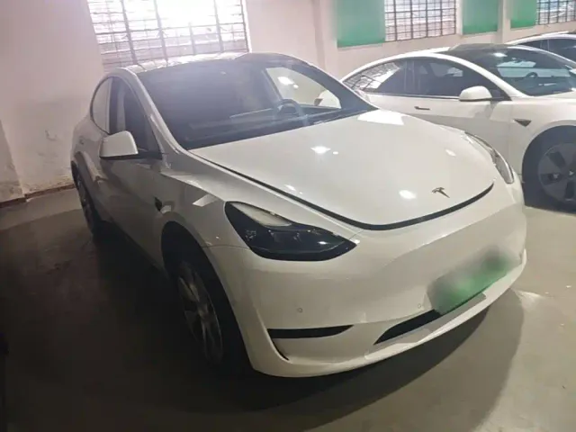 Tesla Model Y — Фото автомобиля 3