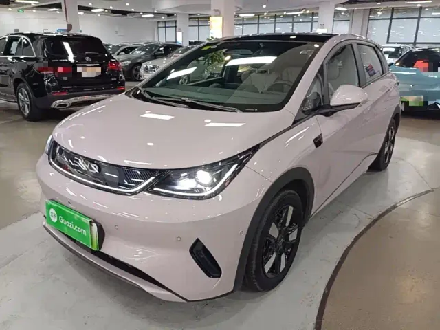 Фотография автомобиля — BYD Dolphin