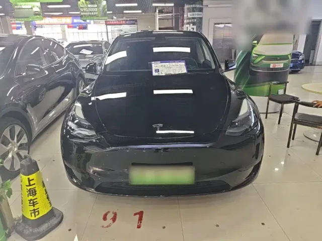 Tesla Model Y — Фото автомобиля 2