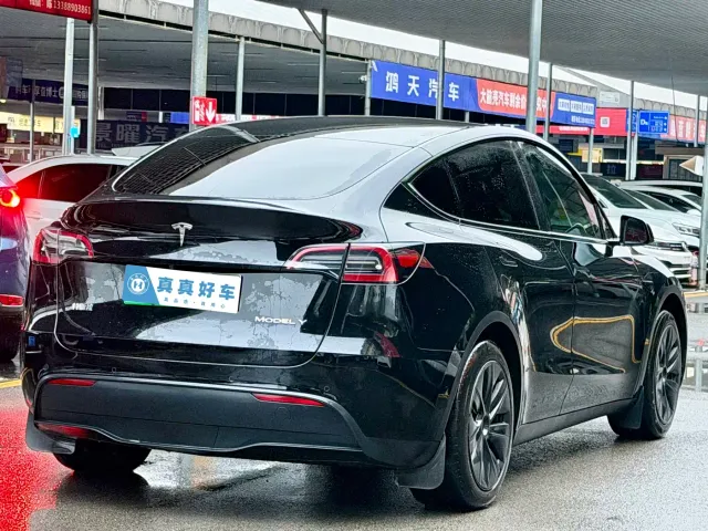 Tesla Model Y — Фото автомобиля 4