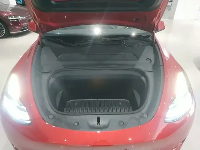 Tesla Model Y — Фото автомобиля 19