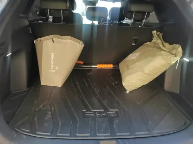 BYD Sealion 06 New Energy 2025 DM-i 170 Pilot Pro Edition — Фото автомобиля 4