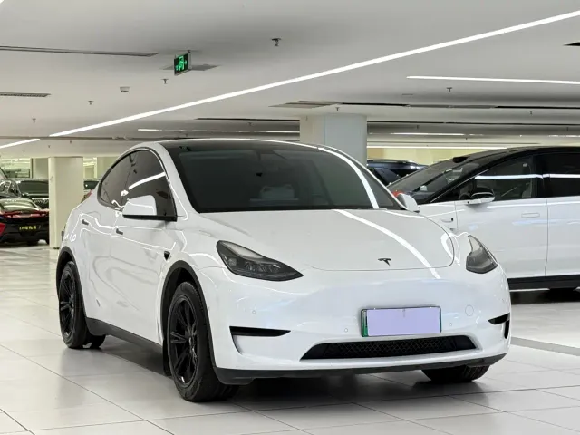 Tesla Model Y — Фото автомобиля 3