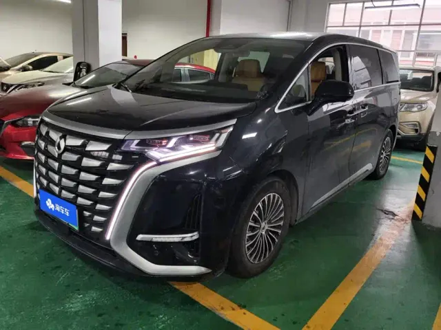 Фотография автомобиля — Denza D9