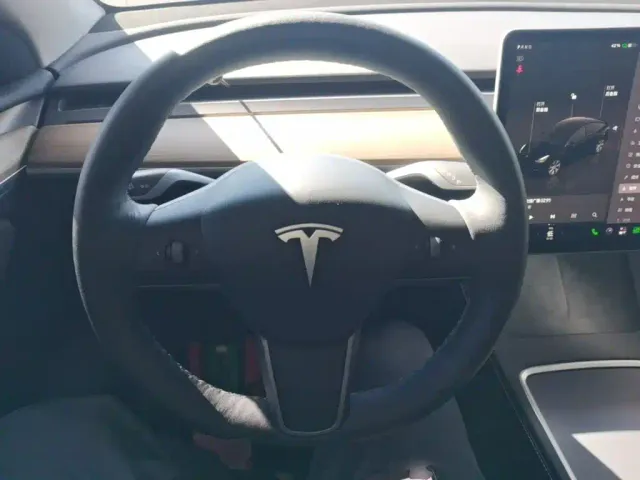 Tesla Model Y — Фото автомобиля 10