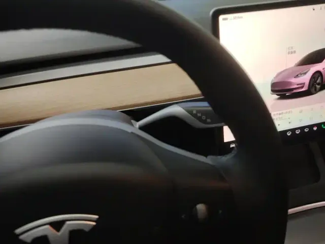 Tesla Model 3 — Фото автомобиля 16