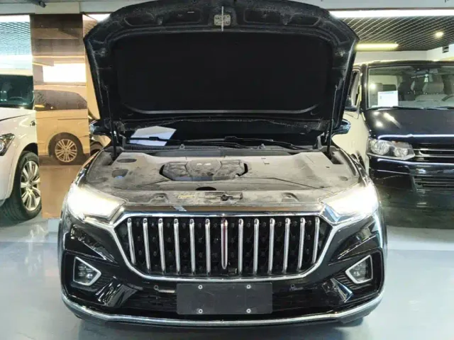 Hongqi HS5 — Фото автомобиля 19