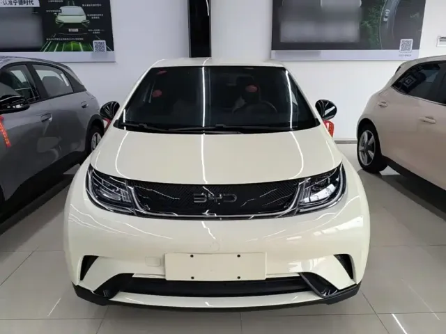 BYD Dolphin 2024 Glory Edition 420km Freedom Edition — Фото автомобиля 2