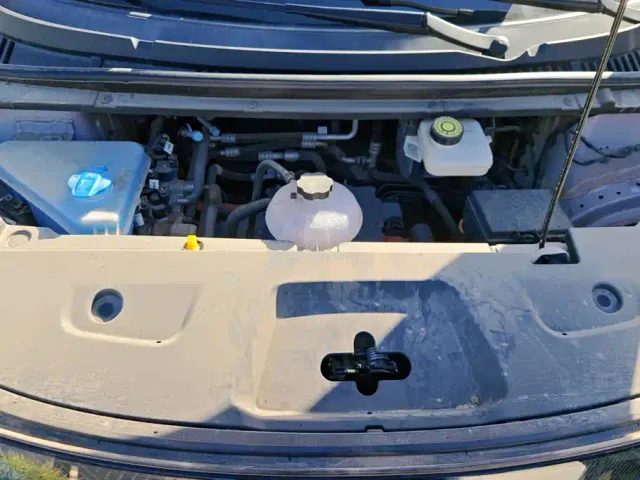 BYD Dolphin — Фото автомобиля 10