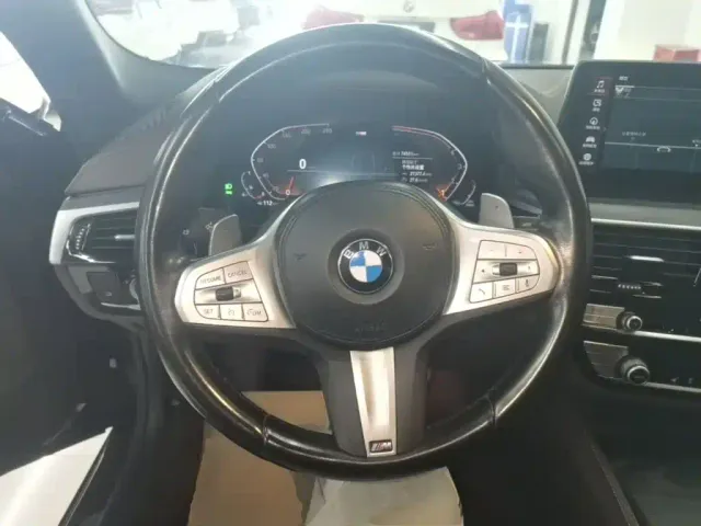 BMW 5 Series — Фото автомобиля 10