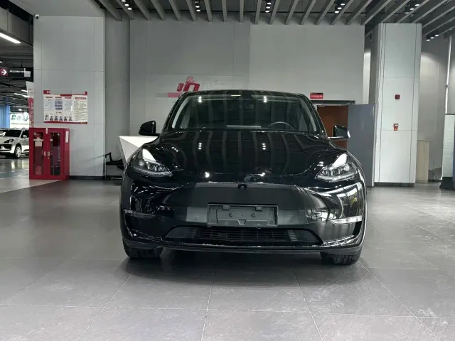 Tesla Model Y — Фото автомобиля 2