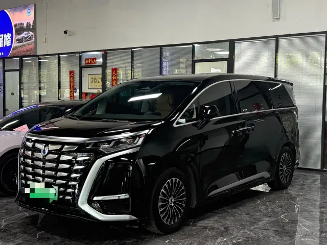 Фотография автомобиля — Denza D9