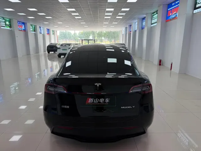 Tesla Model Y — Фото автомобиля 5