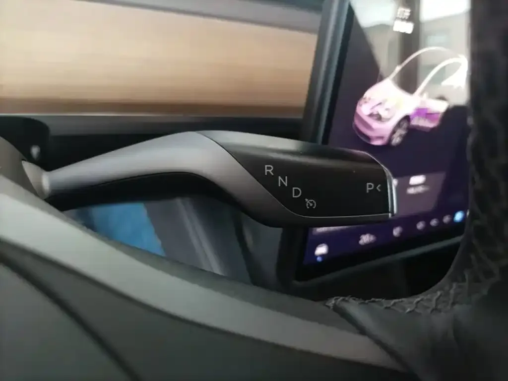 Tesla Model Y 2021 Standard Range Rear-Wheel Drive — Фото автомобиля 9