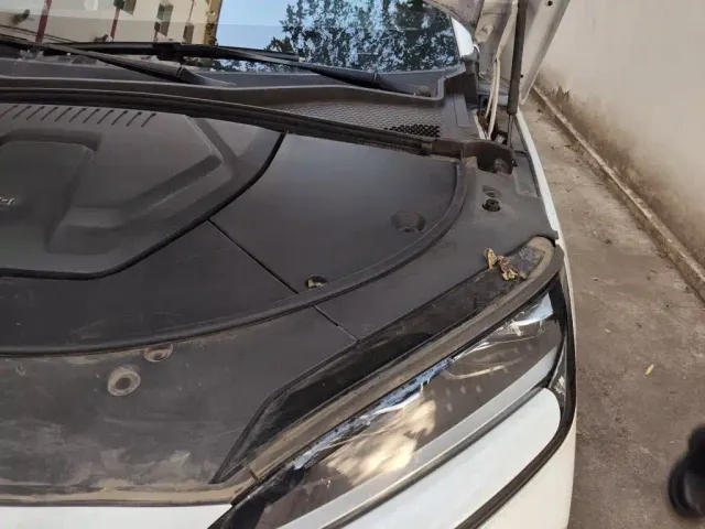 BYD Song PLUS — Фото автомобиля 22