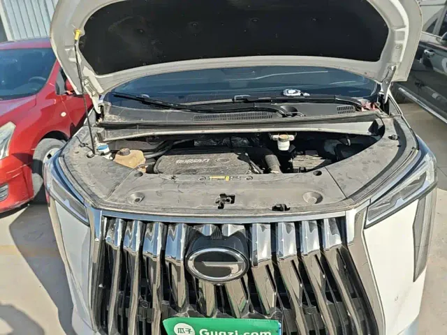 GAC Trumpchi M8 — Фото автомобиля 19