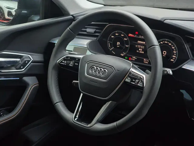 Audi e-tron — Фото автомобиля 19