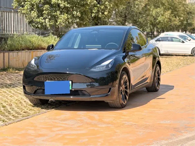 Tesla Model Y — Фото автомобиля 13
