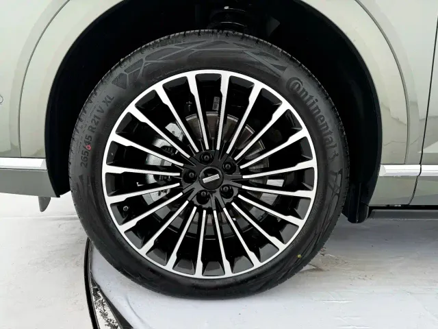 Wey Lanshan — Фото автомобиля 17