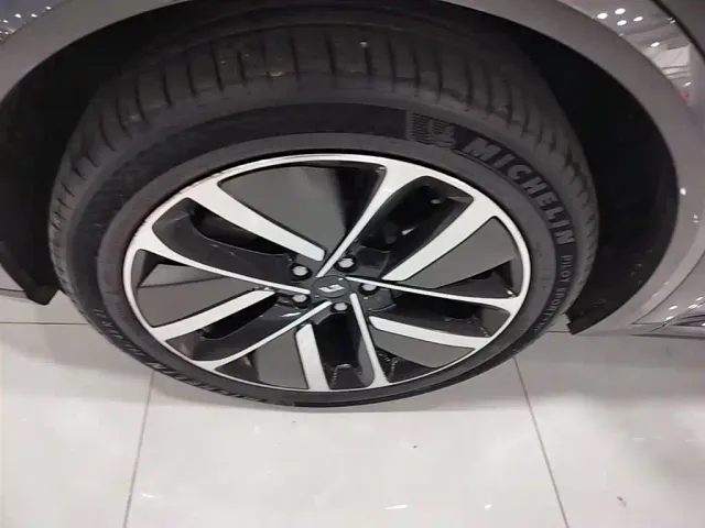 Li Auto L9 — Фото автомобиля 22
