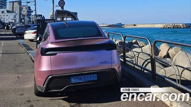 Tesla Model Y — Фото автомобиля 6