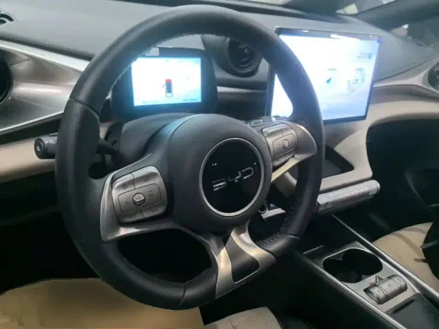 BYD Dolphin — Фото автомобиля 10