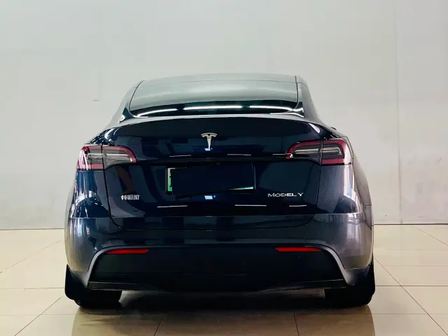 Tesla Model Y — Фото автомобиля 7