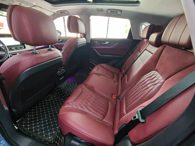Hongqi Hongqi HS5 2023 2.0T 4WD Flag Leader Pro — Фото автомобиля 6