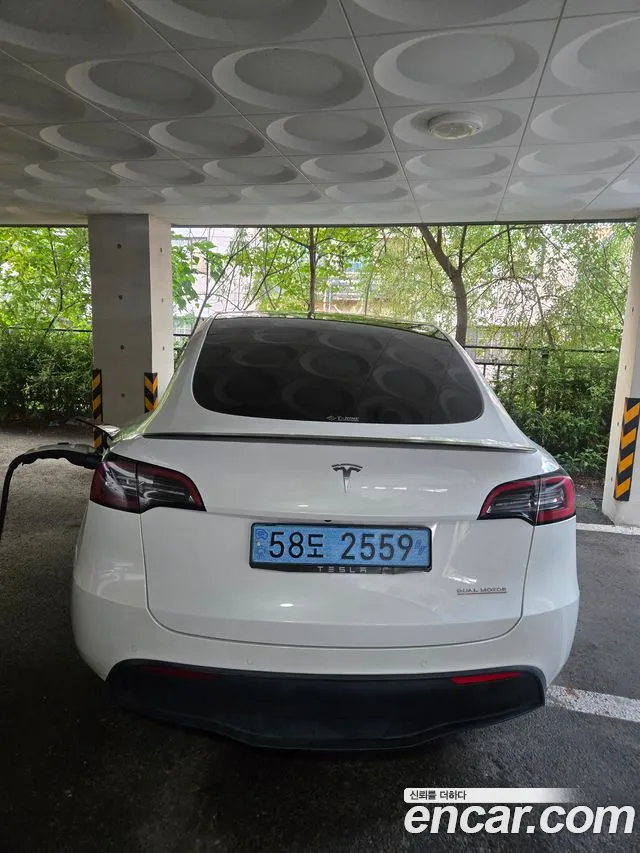 Tesla Model Y — Фото автомобиля 2