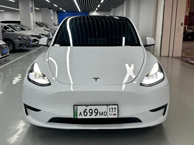 Tesla Model Y — Фото автомобиля 2