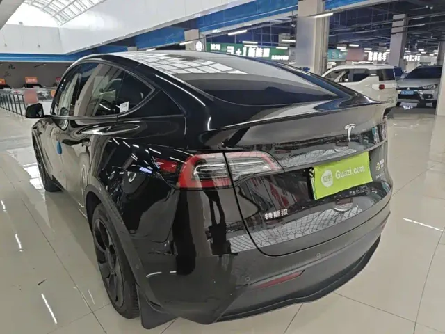Tesla Model Y — Фото автомобиля 4