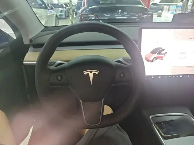 Tesla Model Y — Фото автомобиля 10