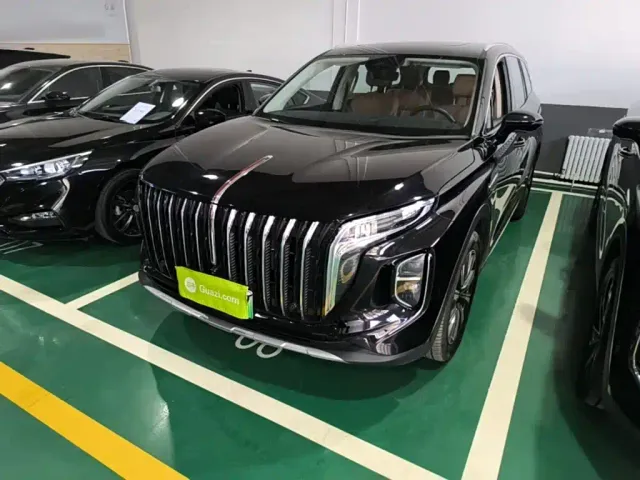 Фотография автомобиля — Hongqi HS7 PHEV