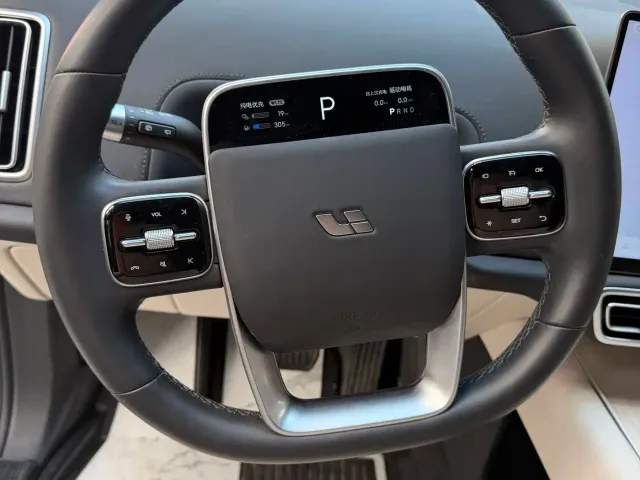 Li Auto L9 — Фото автомобиля 7