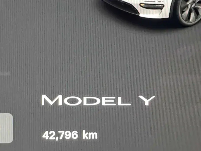 Tesla Model Y — Фото автомобиля 13