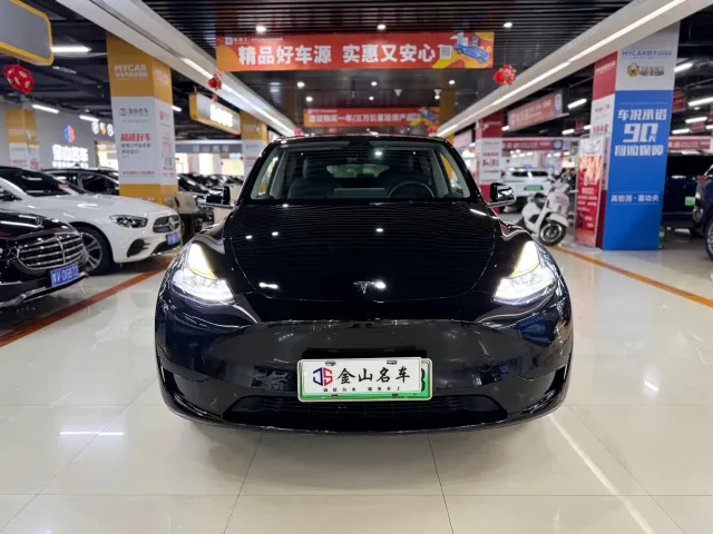 Tesla Model Y — Фото автомобиля 2