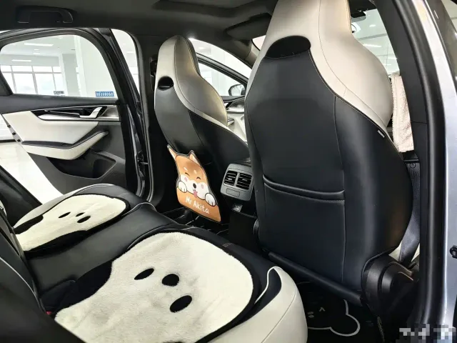 BYD Qin PLUS — Фото автомобиля 12