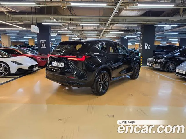 Lexus NX 2nd Gen — Фото автомобиля 2