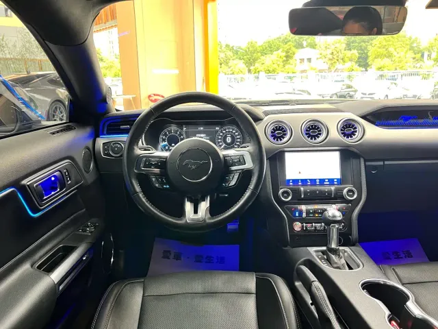 Ford Mustang — Фото автомобиля 16