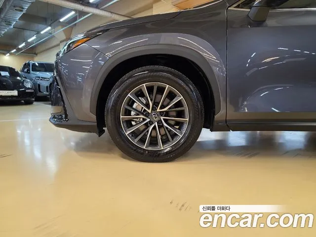 Lexus NX NX450h+ 2nd Gen — Фото автомобиля 5