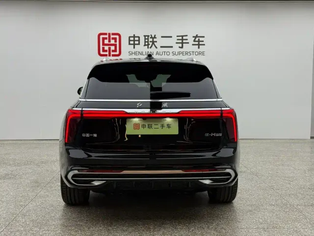 Hongqi E-HS9 — Фото автомобиля 4