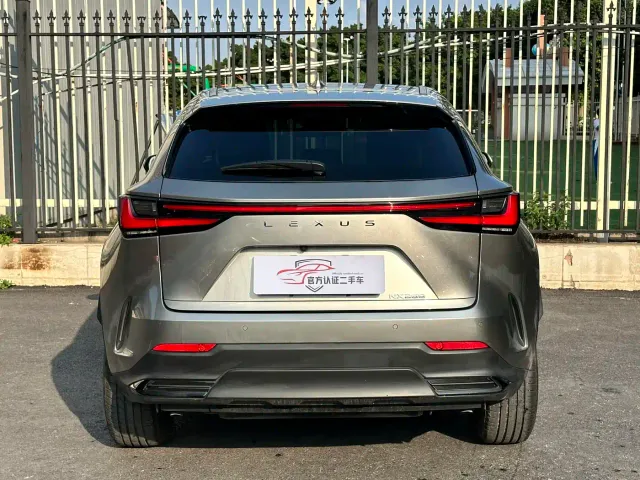 Lexus NX — Фото автомобиля 13