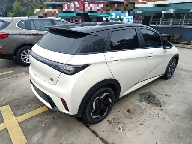 BYD Dolphin — Фото автомобиля 6