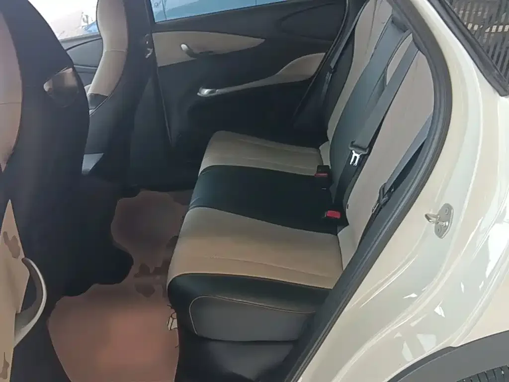 BYD Dolphin 2023 420km Freedom Edition — Фото автомобиля 12