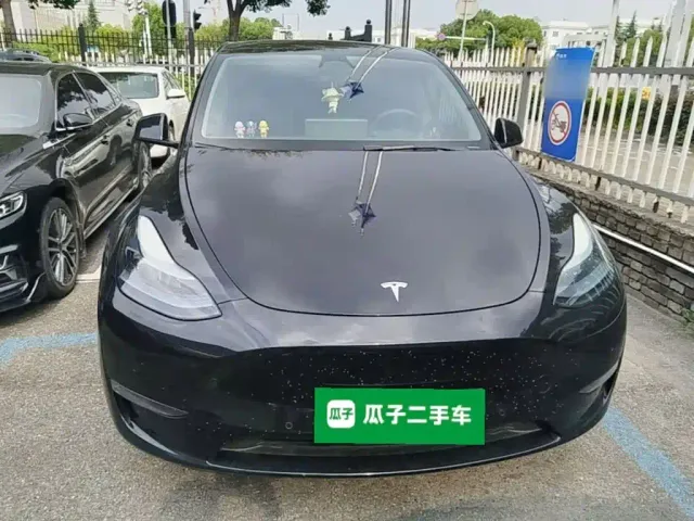 Tesla Model Y — Фото автомобиля 2