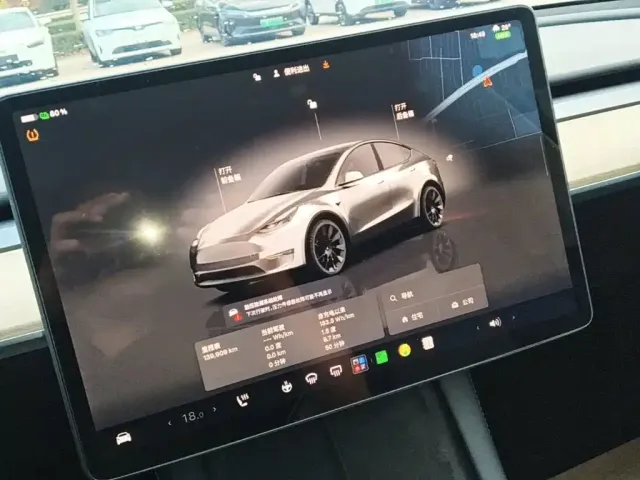 Tesla Model Y — Фото автомобиля 12