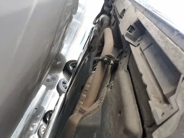 Toyota Sienna — Фото автомобиля 20